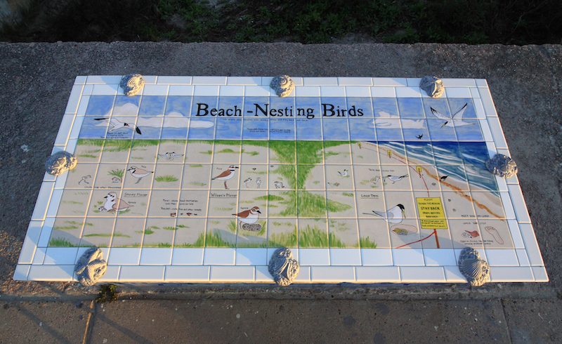 Nesting Birds of Galveston